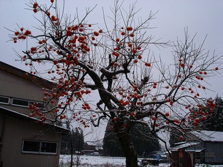 DSC01055_blog.jpg