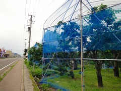 DSC00041_blog.jpg