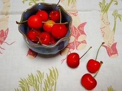 DSC00051_blog.jpg