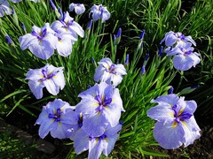 DSC00057_blog.jpg