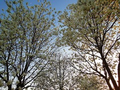 DSC00228_blog.jpg