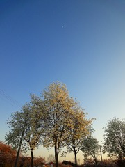 DSC00230_blog.jpg