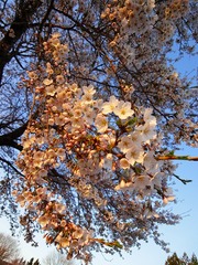 DSC00231_blog.jpg