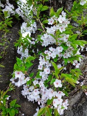 DSC00264_blog.jpg