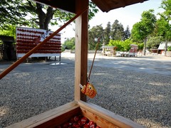 DSC00297_blog.jpg