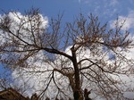 DSC00466_blog.jpg