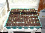 DSC00468_blog.jpg