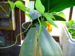 DSC00581_blog.jpg
