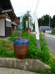 DSC00590_blog.jpg