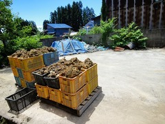 DSC00614_blog.jpg