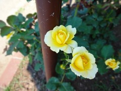 DSC00639_blog.jpg
