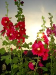 DSC00647_blog.jpg
