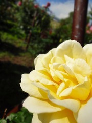DSC00651_blog.jpg