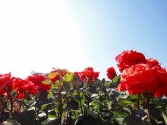 DSC00652_blog.jpg