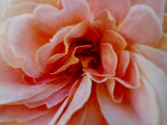 DSC00655_blog.jpg