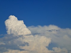 DSC00663_blog.jpg