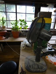 DSC00668_blog.jpg