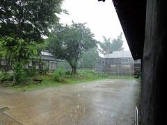 DSC00670_blog.jpg