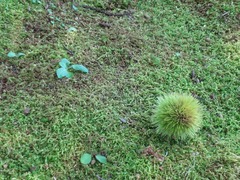 DSC00733_blog.jpg