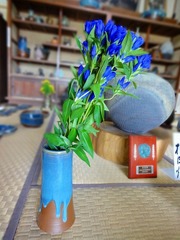 DSC00738_blog.jpg