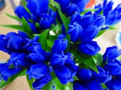 DSC00739_blog.jpg
