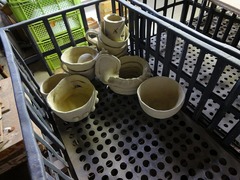 DSC00783_blog.jpg