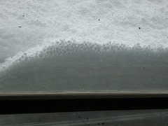 DSC00943_blog.jpg