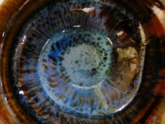 DSC00951_blog.jpg