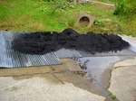 DSC01016_blog.jpg