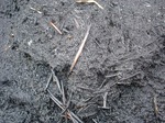 DSC01017_blog.jpg