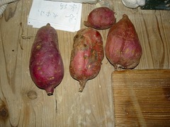 DSC01095_blog.jpg