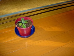DSC01096_blog.jpg
