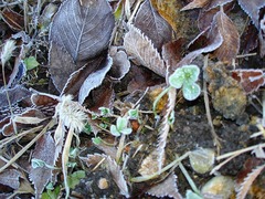 DSC01100_blog.jpg