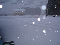 DSC01106_blog.jpg