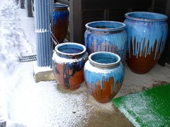 DSC01118_blog.jpg