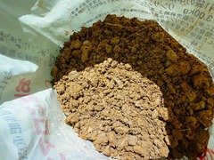 DSC01120_blog.jpg