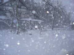 DSC01121_blog.jpg