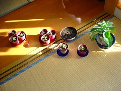 DSC01122_blog.jpg