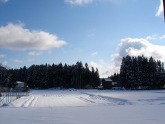 DSC01132_blog.jpg