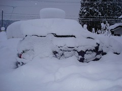 DSC01180_blog.jpg