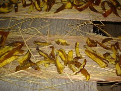 DSC01181_blog.jpg