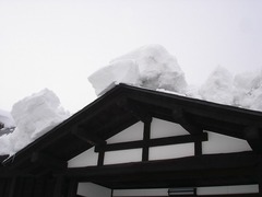 DSC01185_blog.jpg