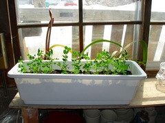 DSC01208_blog.jpg