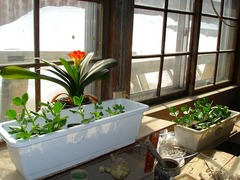 DSC01209_blog.jpg