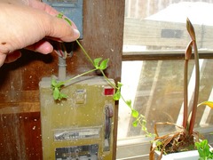 DSC01210_blog.jpg