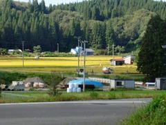 DSC01223 (3)_blog.jpg