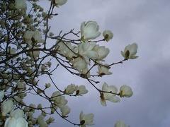DSC01229_blog.jpg