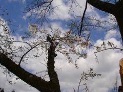 DSC01231_blog.jpg