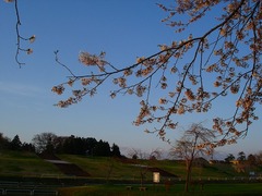 DSC01234_blog.jpg