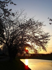 DSC01236_blog.jpg